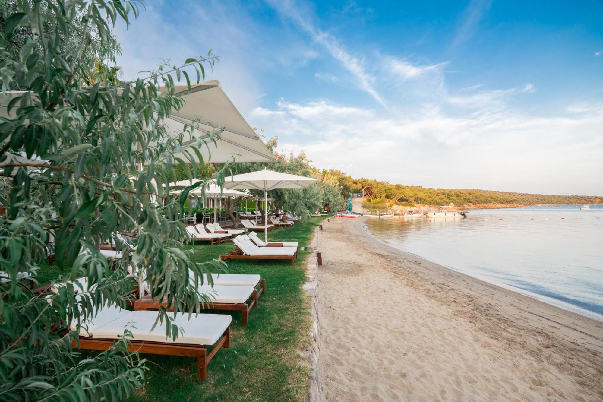 Ortunc Hotel - Cunda Island (Adults Only) Ayvalik Ngoại thất bức ảnh