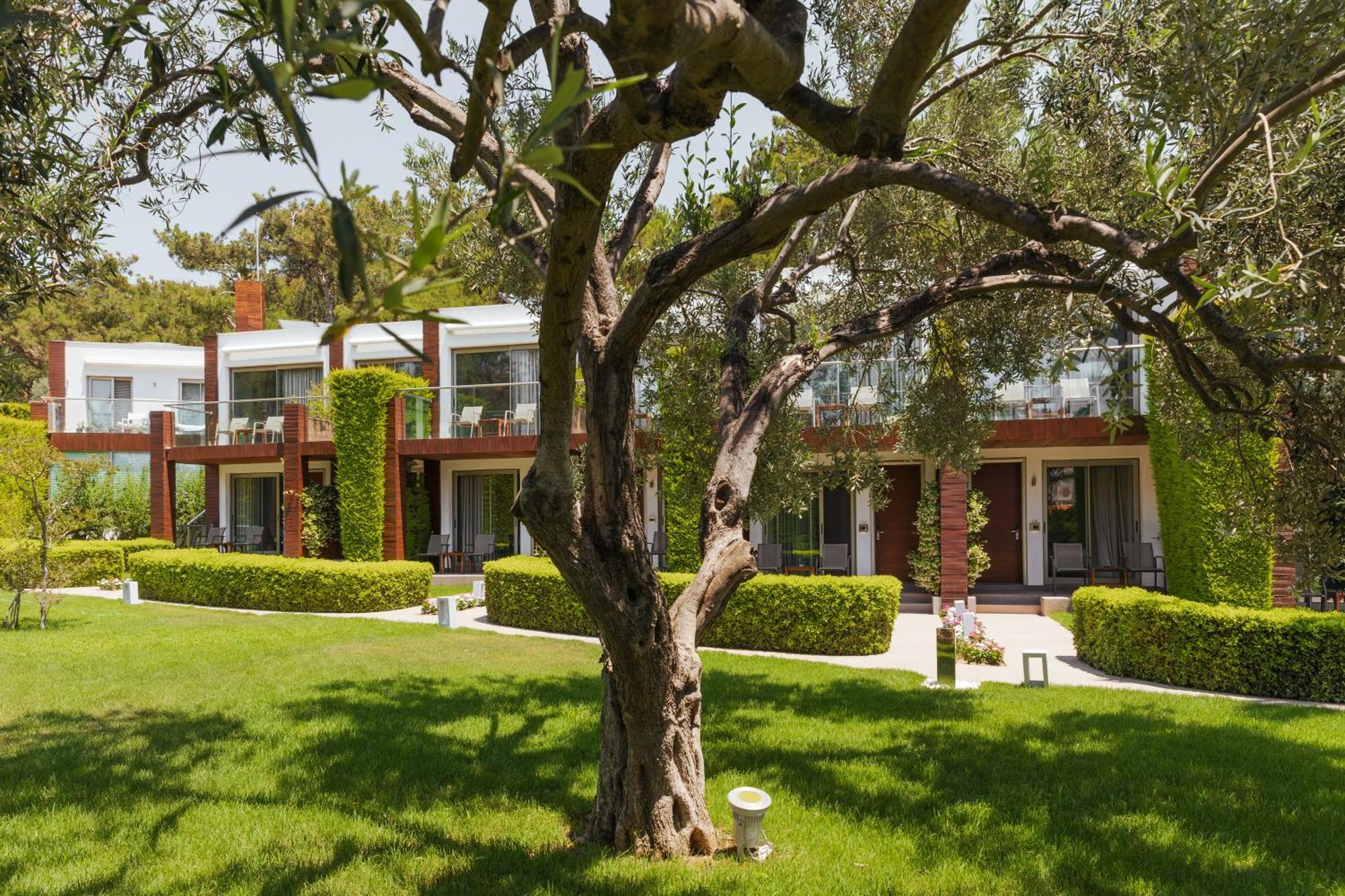 Ortunc Hotel - Cunda Island (Adults Only) Ayvalik Ngoại thất bức ảnh