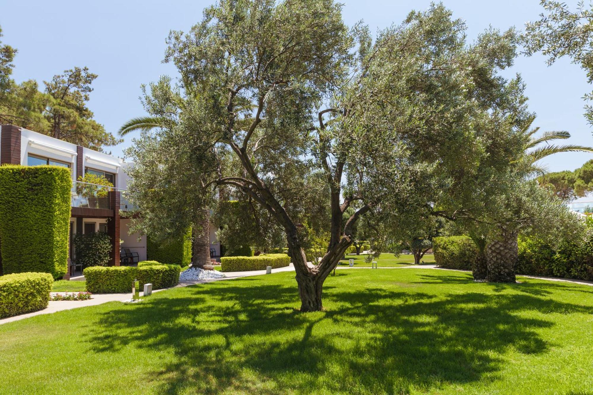 Ortunc Hotel - Cunda Island (Adults Only) Ayvalik Ngoại thất bức ảnh