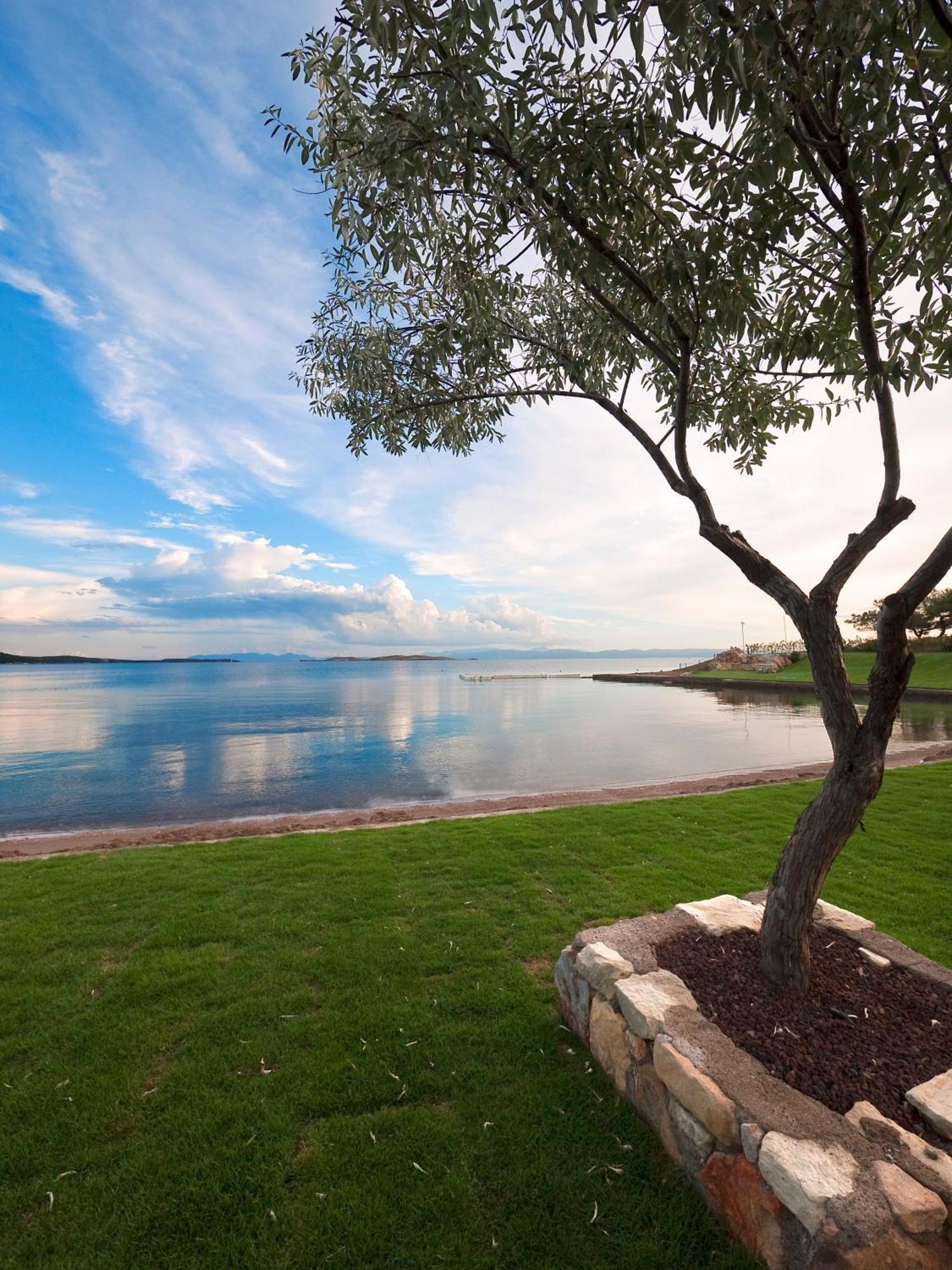 Ortunc Hotel - Cunda Island (Adults Only) Ayvalik Ngoại thất bức ảnh